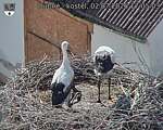Capi_Dubne_20260702_170503.jpg