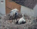 Capi_Dubne_20260702_171003.jpg