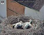 Capi_Dubne_20260702_172003.jpg