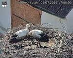Capi_Dubne_20260702_175503.jpg