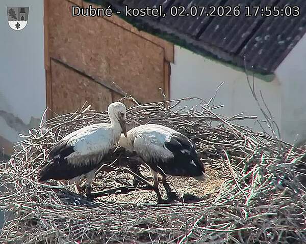 preload