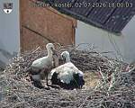 Capi_Dubne_20260702_180003.jpg