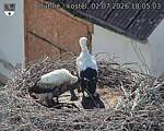 Capi_Dubne_20260702_180503.jpg