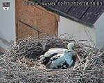 Capi_Dubne_20260702_182003.jpg