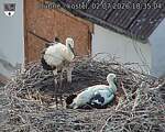 Capi_Dubne_20260702_183504.jpg