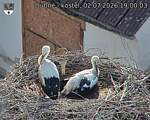 Capi_Dubne_20260702_190003.jpg