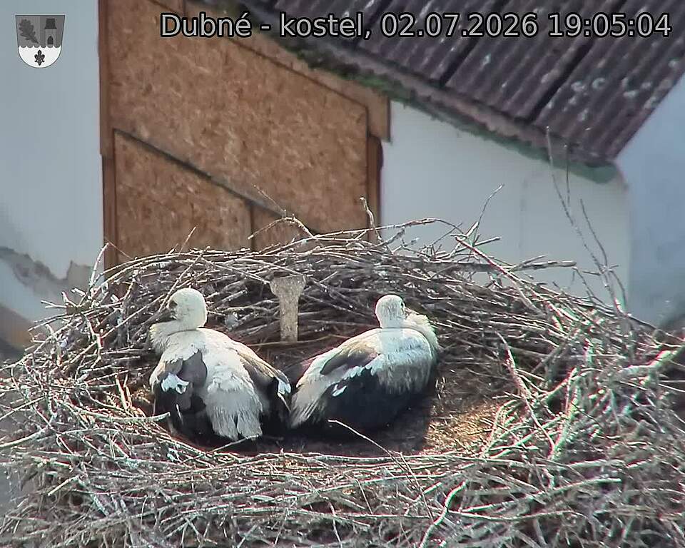 preload