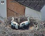 Capi_Dubne_20260702_191003.jpg