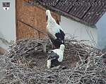 Capi_Dubne_20260702_192003.jpg
