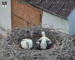 Capi_Dubne_20260702_192505.jpg