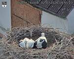 Capi_Dubne_20260702_194503.jpg