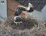 Capi_Dubne_20260702_195503.jpg