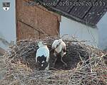 Capi_Dubne_20260702_201003.jpg