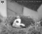 Capi_Dubne_20260702_214003.jpg