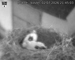 Capi_Dubne_20260702_214503.jpg