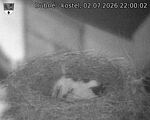 Capi_Dubne_20260702_220002.jpg