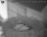Capi_Dubne_20260702_230502.jpg