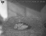 Capi_Dubne_20260702_233503.jpg