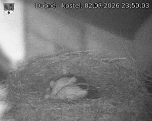 preload