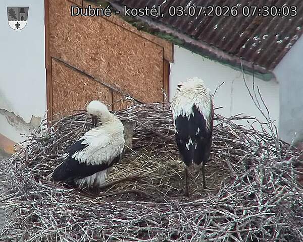 preload