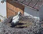 Capi_Dubne_20260703_133003.jpg