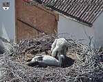 Capi_Dubne_20260703_154003.jpg