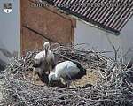 Capi_Dubne_20260703_160503.jpg