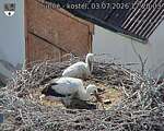 Capi_Dubne_20260703_172003.jpg
