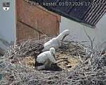 Capi_Dubne_20260703_172503.jpg