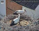 Capi_Dubne_20260703_180003.jpg