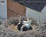 Capi_Dubne_20260703_181503.jpg