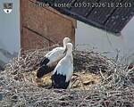 Capi_Dubne_20260703_182503.jpg