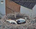 Capi_Dubne_20260703_184003.jpg