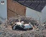 Capi_Dubne_20260703_191003.jpg