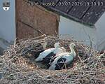 Capi_Dubne_20260703_193003.jpg
