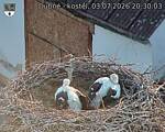 Capi_Dubne_20260703_203003.jpg