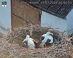 Capi_Dubne_20260703_204003.jpg