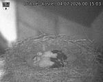 Capi_Dubne_20260704_001503.jpg