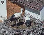 Capi_Dubne_20260704_105003.jpg