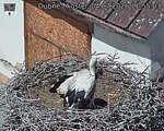 Capi_Dubne_20260704_115503.jpg