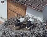 Capi_Dubne_20260704_130504.jpg