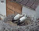 Capi_Dubne_20260704_140503.jpg