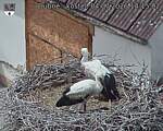 Capi_Dubne_20260704_141502.jpg