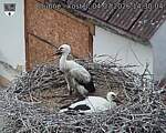 Capi_Dubne_20260704_143004.jpg