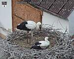 Capi_Dubne_20260704_144504.jpg