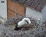 Capi_Dubne_20260704_152004.jpg