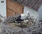Capi_Dubne_20260704_153504.jpg
