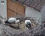 Capi_Dubne_20260704_154502.jpg
