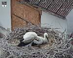 Capi_Dubne_20260704_160502.jpg