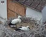 Capi_Dubne_20260704_161004.jpg